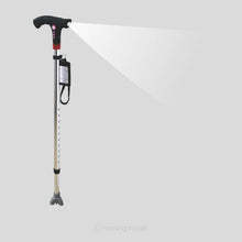 Load image into Gallery viewer, Flamingo Walking Stick 10 Adjustable Heights With FM Radio and More
