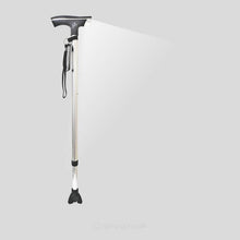 Load image into Gallery viewer, Flamingo Walking Stick 10 Adjustable Heights With FM Radio and More
